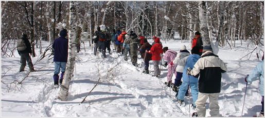 Snowshoe Myoko. Backcountry & Guiding