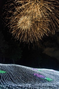 Joetsu Myoko Illumination Fireworks