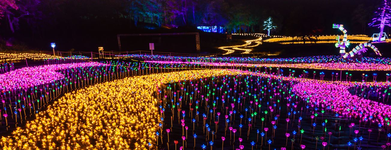 Joetsu Myoko Illumination