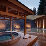 arai resort hot springs