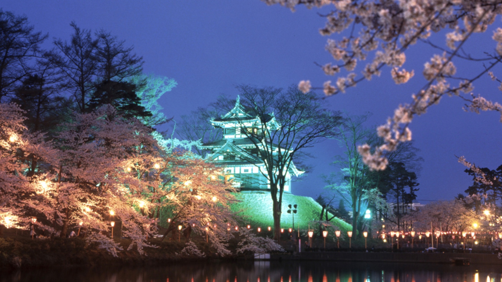 Seki Onsen Ski Resort Japans Best Powder Snow Skiing - 