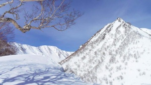 myoko backcountry ski tours