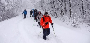 Back Country | Tours | Guiding | Snowshoe