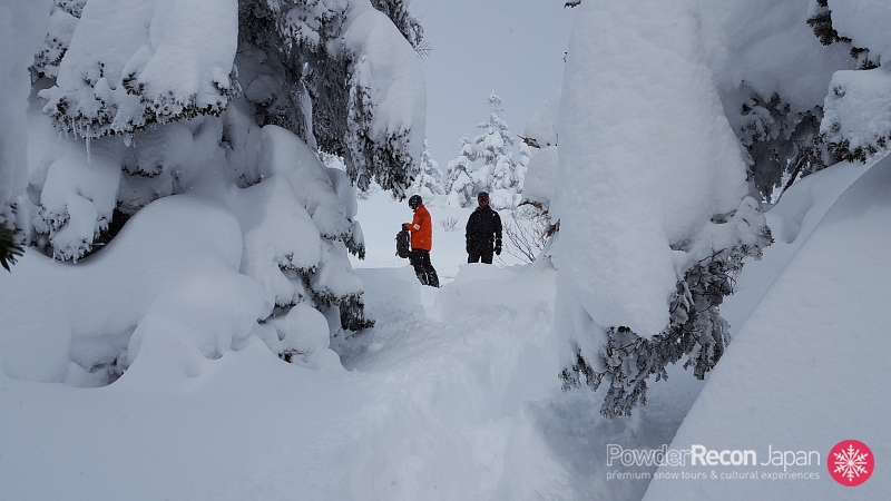 Myoko Backcountry & Guiding