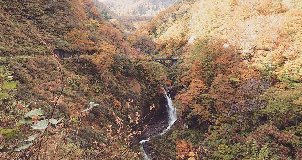 autumn in joetsu myoko