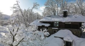 Wonderland Wasabi Chalet Akakura