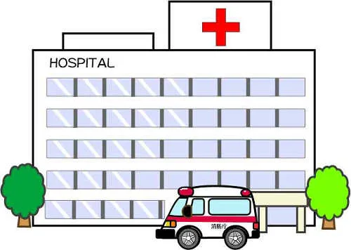 Health Services & Hospitals in Myoko