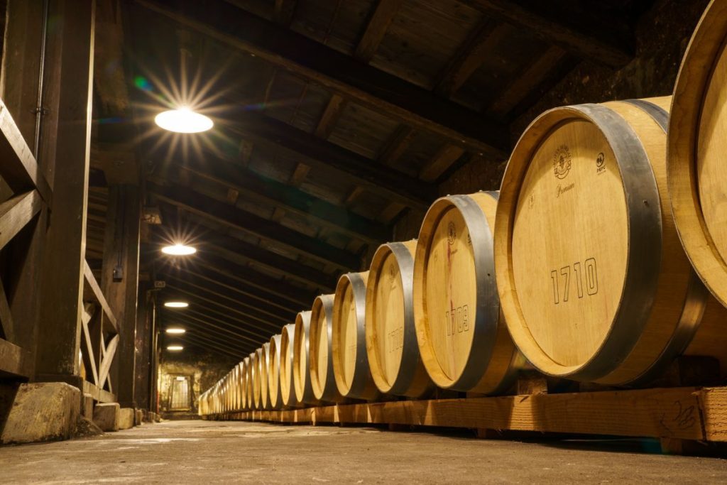 joetsu iwanohara winery vineyard, Things to do in Joetsu, Joetsu Activities, Highlights of Joetsu, Joetsu Highlights