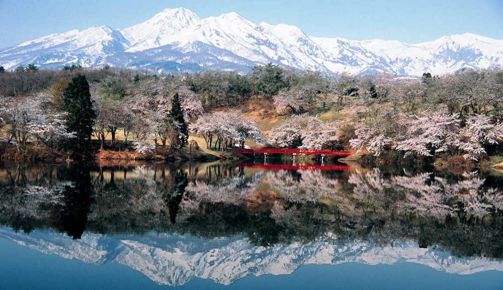 spring in joetsu myoko