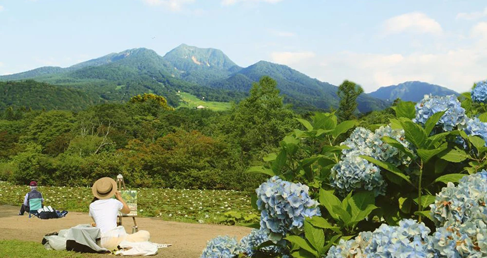 summer in joetsu myoko
